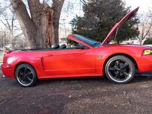 Red 2002 Ford Mustang premium