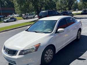 White 2010 Honda Accord