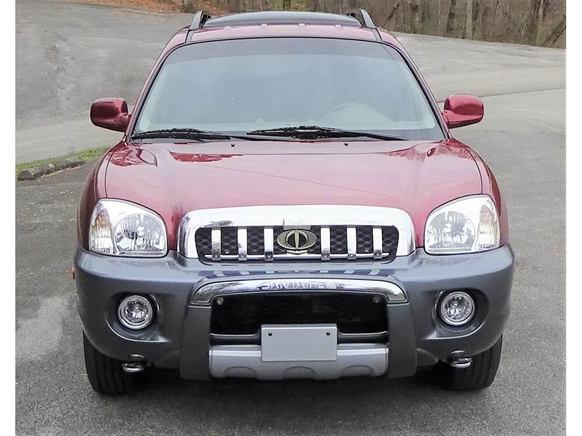 2004 Hyundai Santa Fe for sale by owner in Harriman