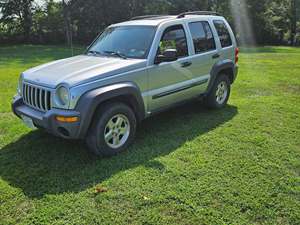 Silver 2003 Jeep Liberty