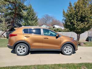 Brown 2019 Kia Sportage