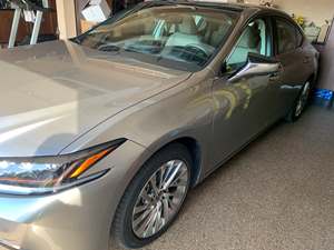 Silver 2020 Lexus ES 350