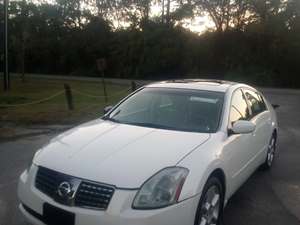 White 2004 Nissan Maxima