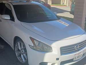 White 2009 Nissan Maxima