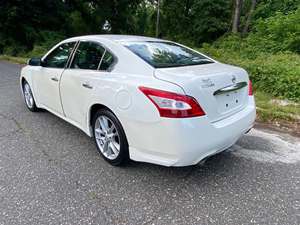 White 2010 Nissan Maxima