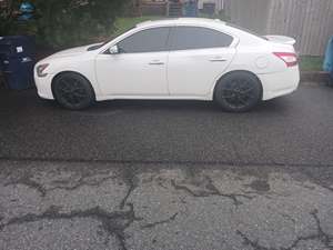White 2010 Nissan Maxima