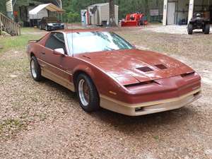 Orange 1985 Pontiac Firebird