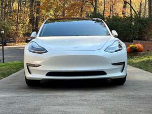 White 2019 Tesla Model 3