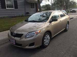 Gold 2009 Toyota Corolla