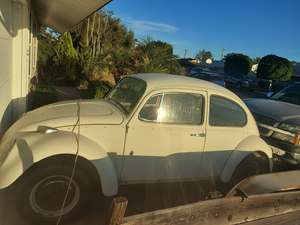 White 1966 Volkswagen Beetle