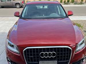 2015 Audi Q5 with Red Exterior