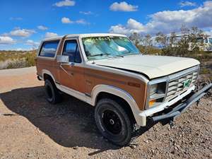 Brown 1982 Ford Bronco