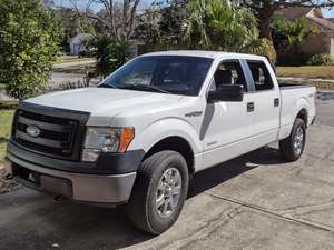 White 2013 Ford F-150