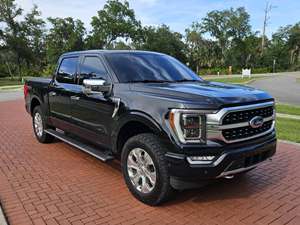 Black 2021 Ford F-150 Platinum