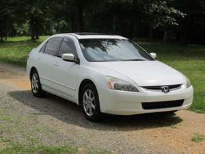 White 2004 Honda Accord