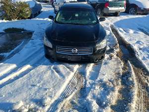 2010 Nissan Maxima with Black Exterior