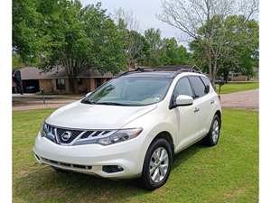 Beige 2011 Nissan Murano