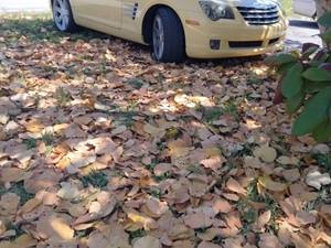 Yellow 2005 Chrysler Crossfire