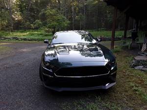 Green 2019 Ford Mustang