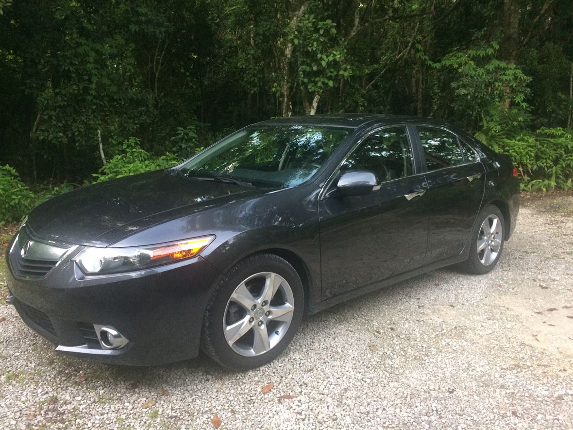 2014 Acura TSX for sale by owner in Dothan