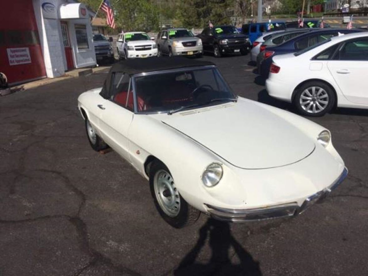 1967 Alfa Romeo Spider for sale by owner in Brighton