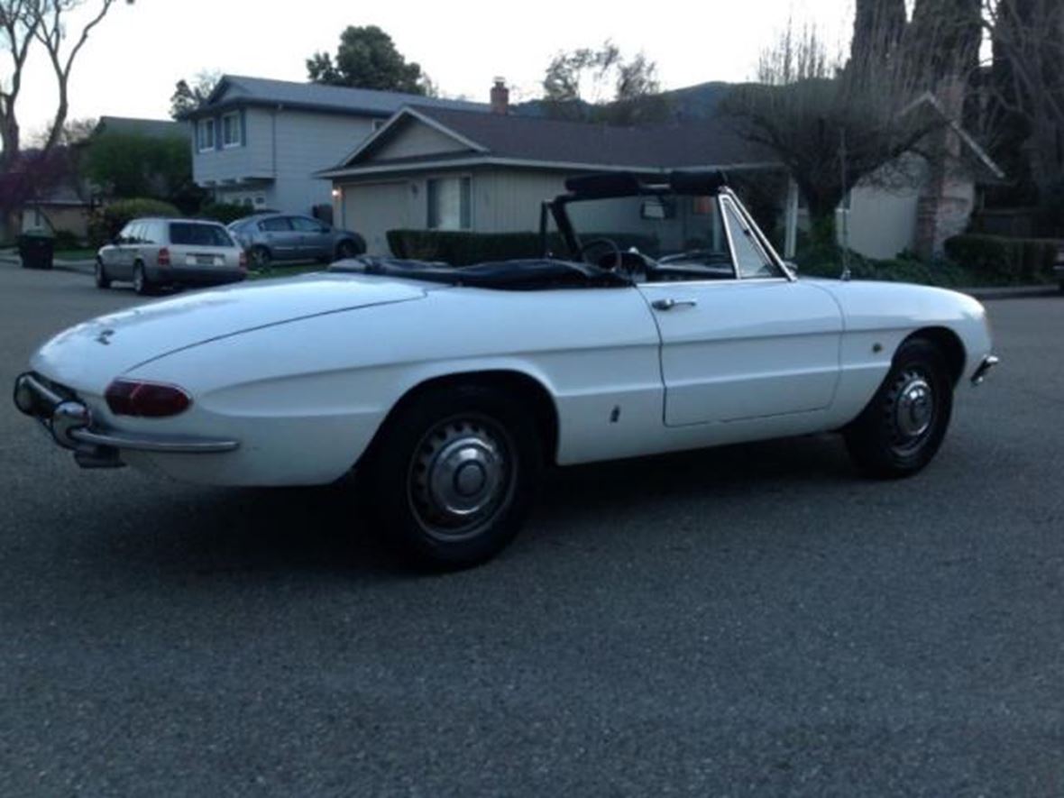 1967 Alfa Romeo Spider for sale by owner in Midway City