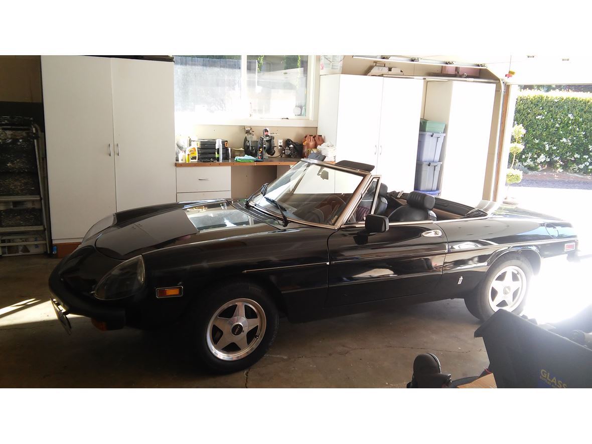 1976 Alfa Romeo Spider for sale by owner in Vancouver