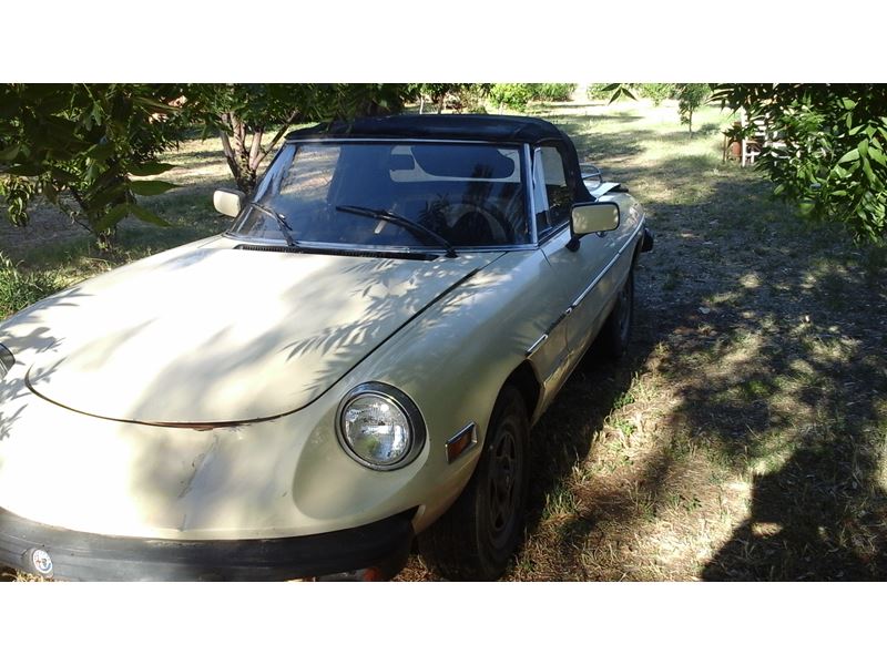 1982 Alfa Romeo Spider Classic Car Corning, CA 96021