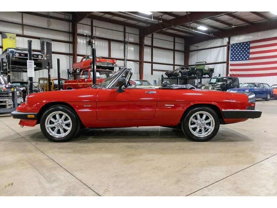 1986 Alfa Romeo Spider Graduate for sale by owner in Schiller Park