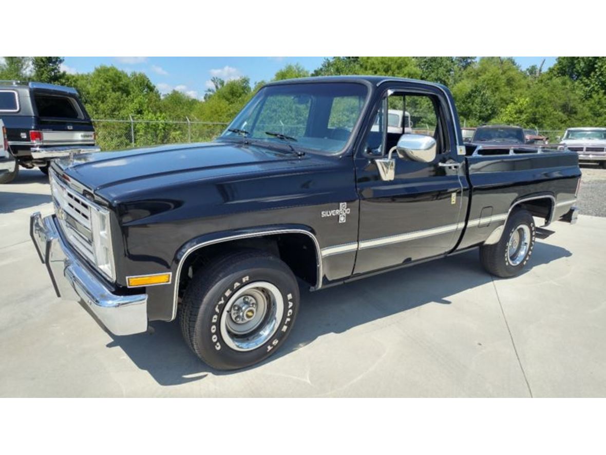 1987 Chevrolet C-10 for sale by owner in Resaca