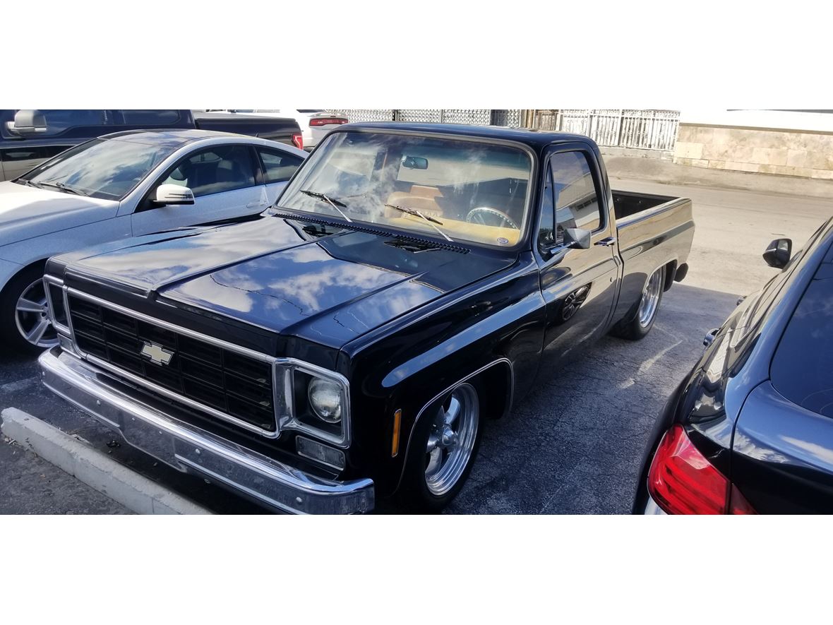 1975 Chevrolet C/K 10 Series for sale by owner in Fort Lauderdale