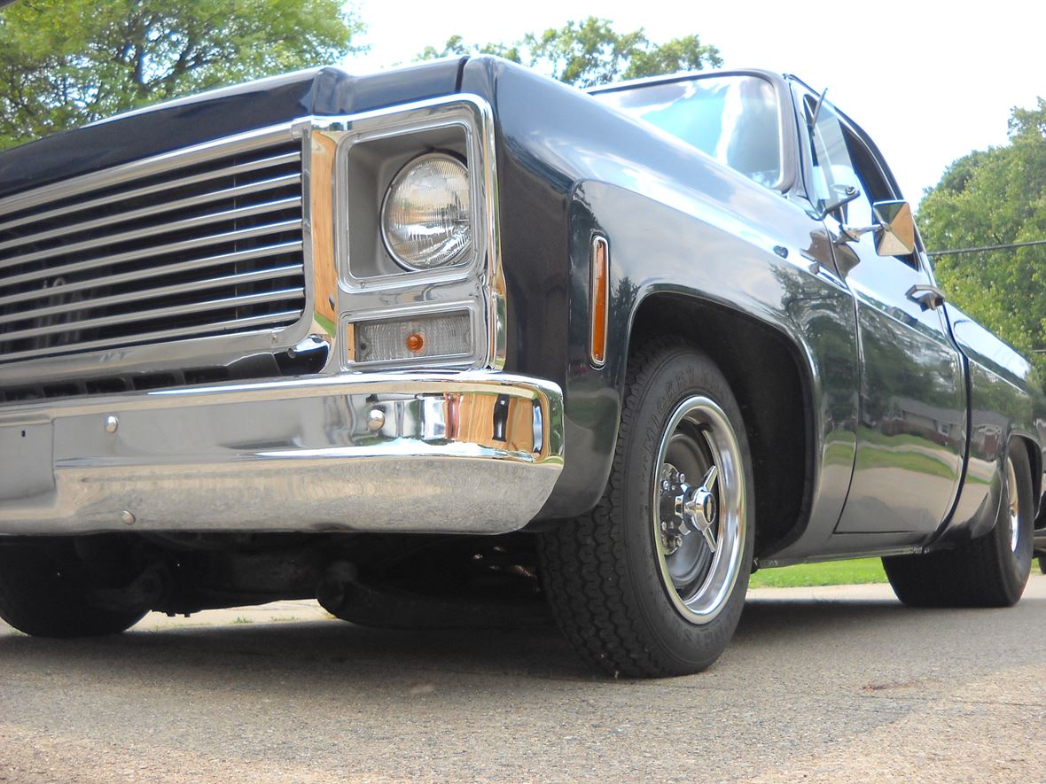 1979 Chevrolet C/K 10 Series for sale by owner in Livonia