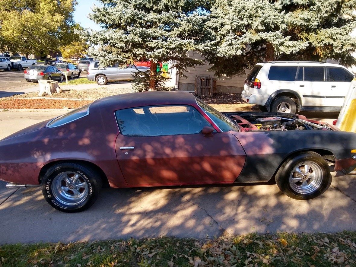 1973 Chevrolet Camaro for sale by owner in Englewood
