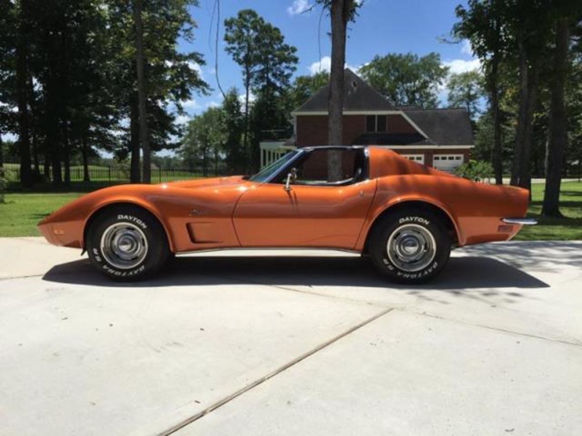 1973 Chevrolet Corvette for sale by owner in Riviera