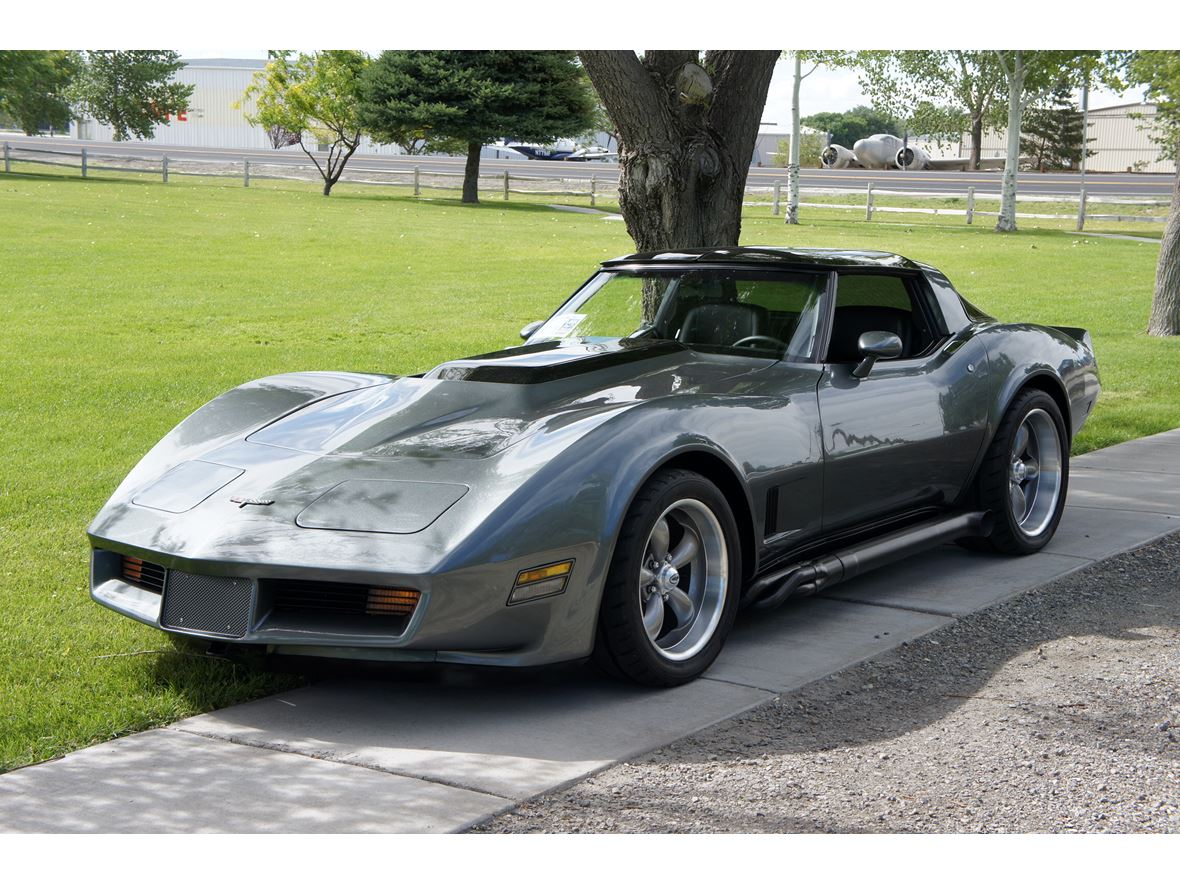 1980 Chevrolet Corvette for sale by owner in Yerington