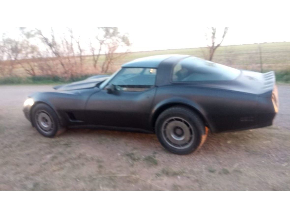 1980 Chevrolet Corvette for sale by owner in Haskell