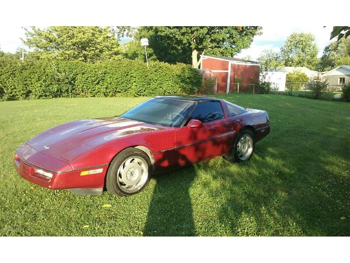 1989 Chevrolet Corvette for sale by owner in Louisville