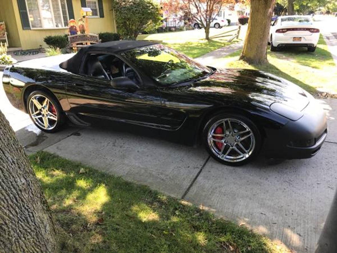 1999 Chevrolet Corvette for sale by owner in Buffalo