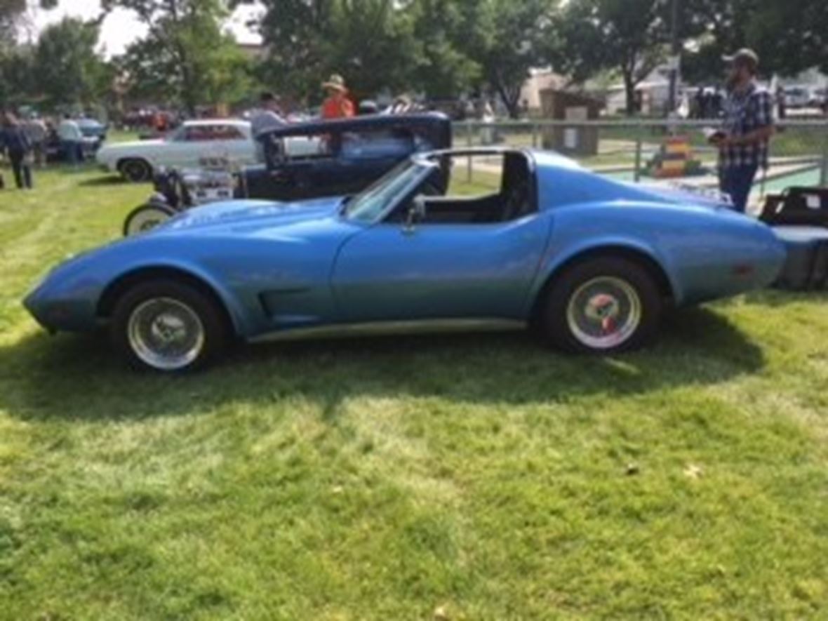 1974 Chevrolet Corvette Stingray for sale by owner in Cody