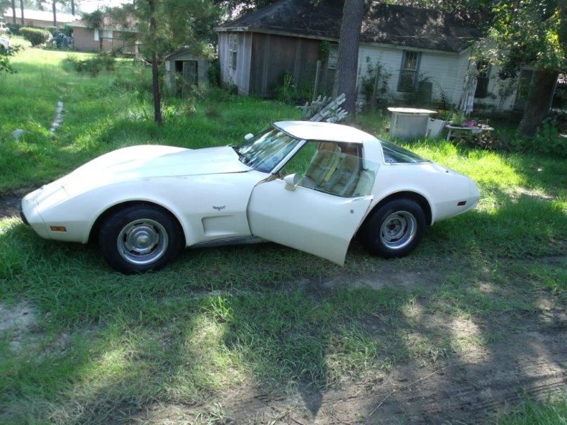 1979 Chevrolet Corvette Stingray For Sale By Owner In Pearl River La 70452 4 700