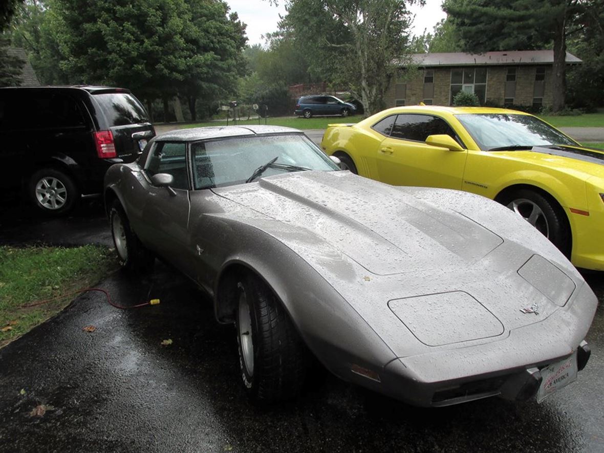 1979 Chevrolet Corvette Stingray For Sale By Owner In Logansport In 46947 7 000