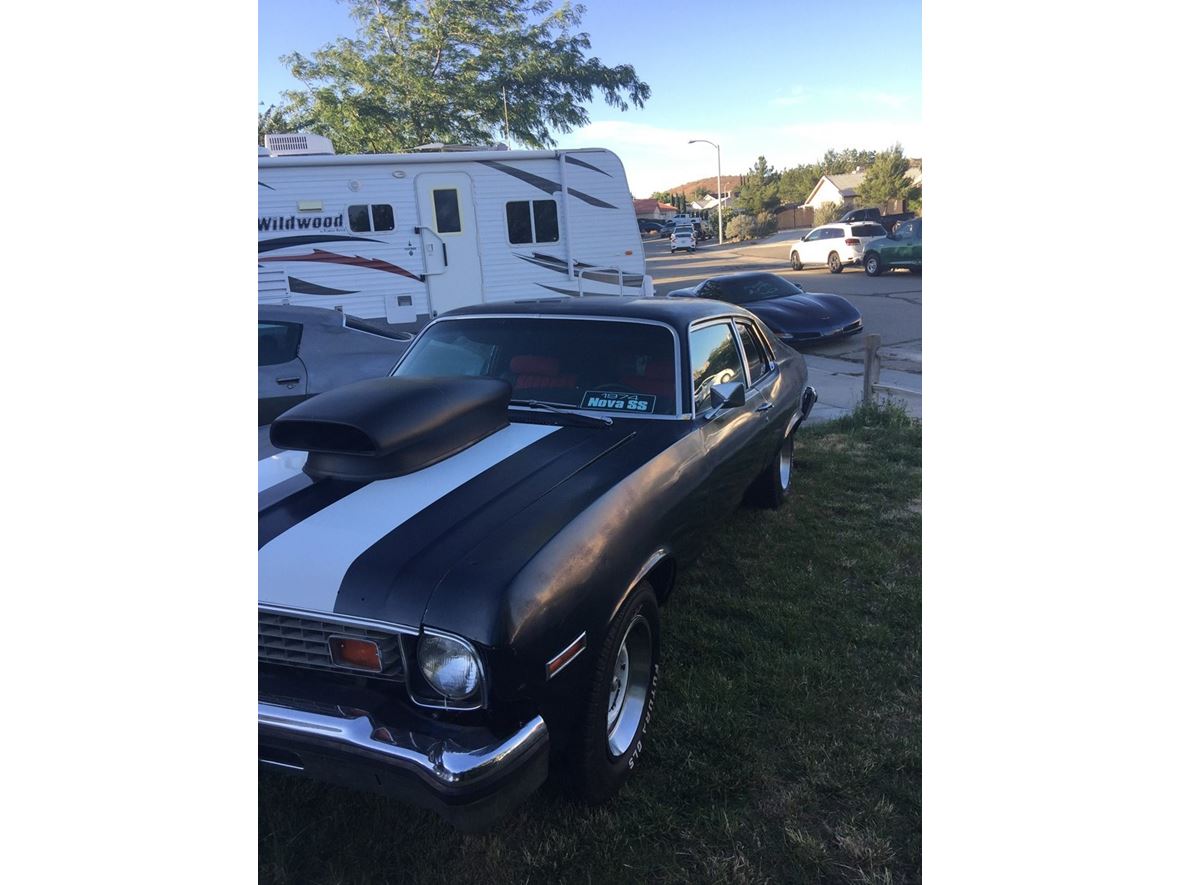 1974 Chevrolet Nova hatchback custom  for sale by owner in Rosamond