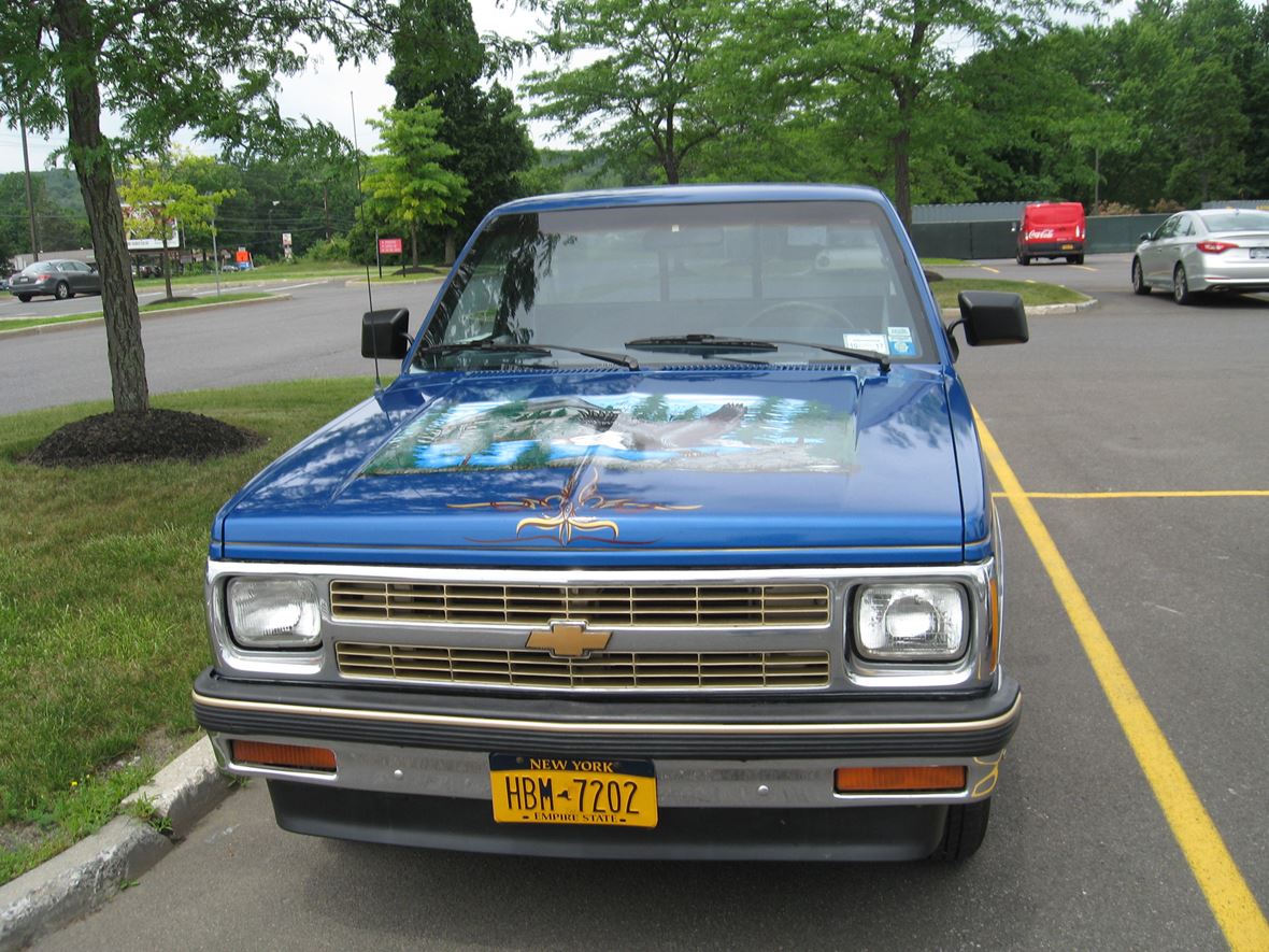 1991 Chevrolet S-10 for sale by owner in Albany