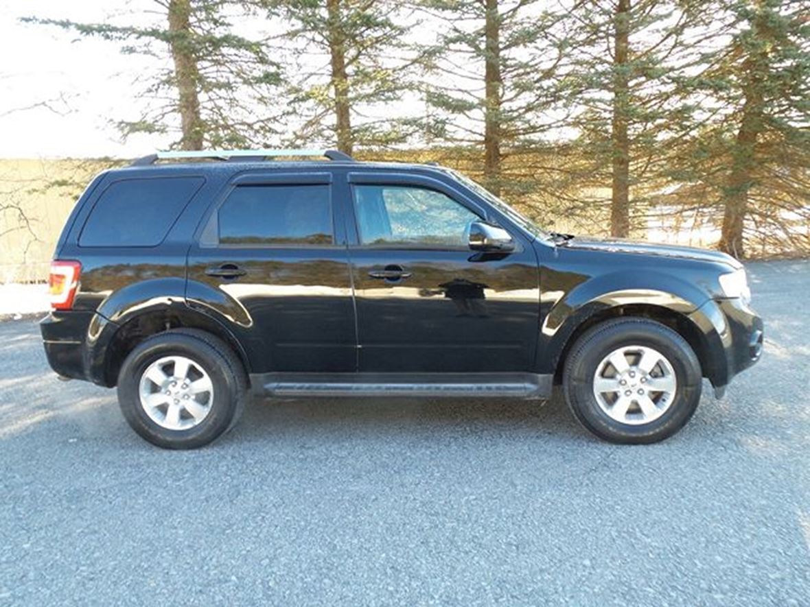 2010 Ford Escape For Sale >> 2010 Ford Escape For Sale By Owner In Burnt Hills Ny 12027 2010 Ford Escape For Sale >> 2010 Ford Escape For Sale By Owner In Burnt Hills Ny 12027