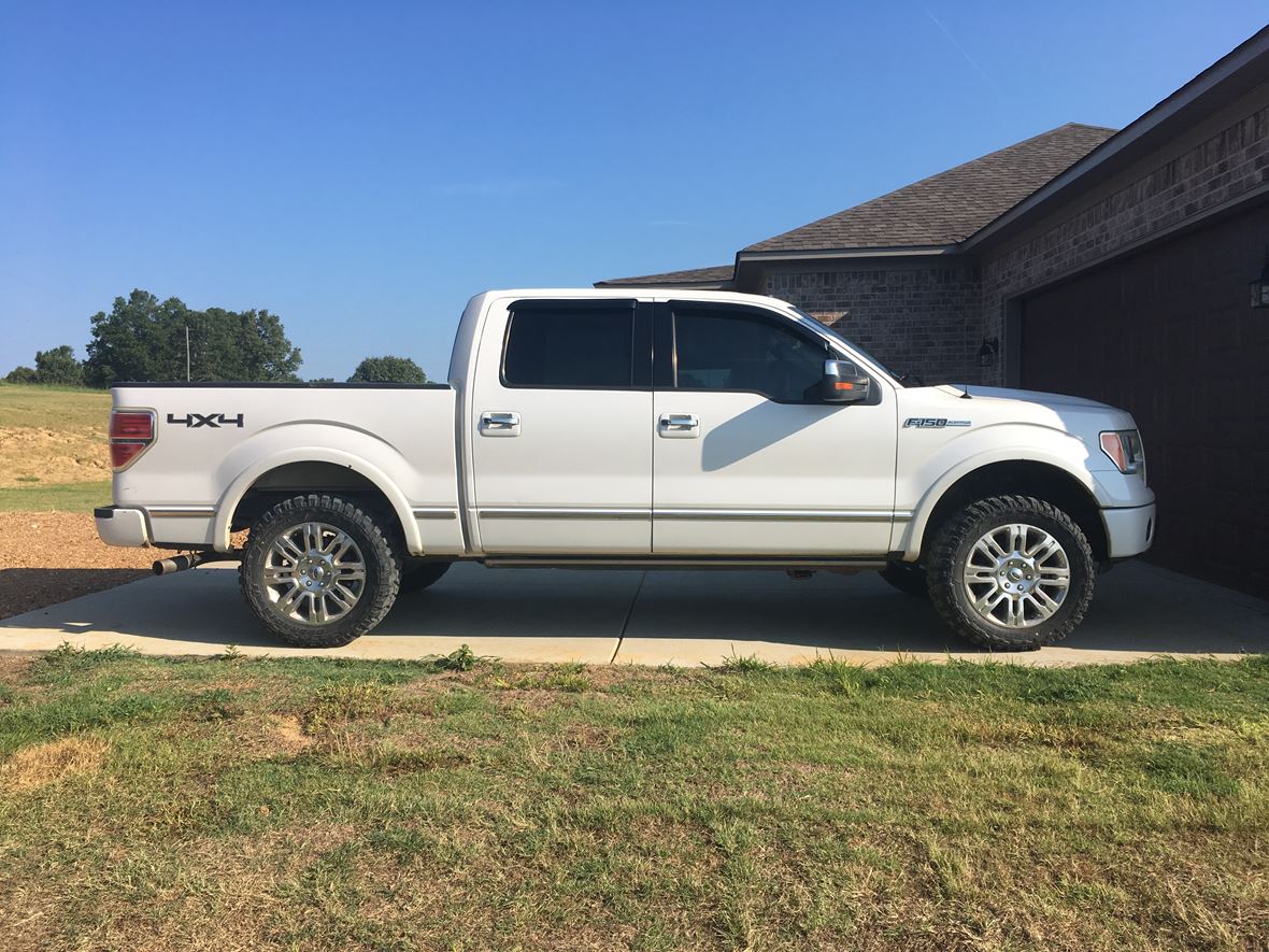 2010 Ford F-150 platinum  for sale by owner in Courtland