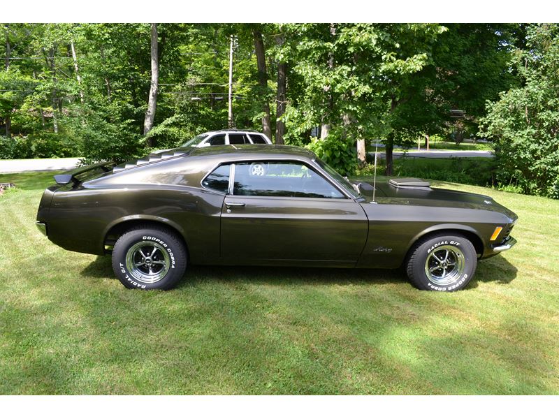 1970 Ford Mustang for sale by owner in Rochester