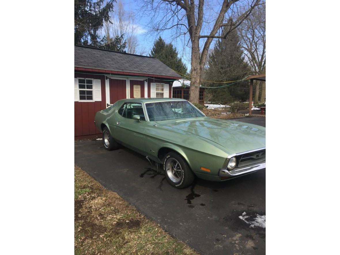 1971 Ford Mustang for sale by owner in New Tripoli