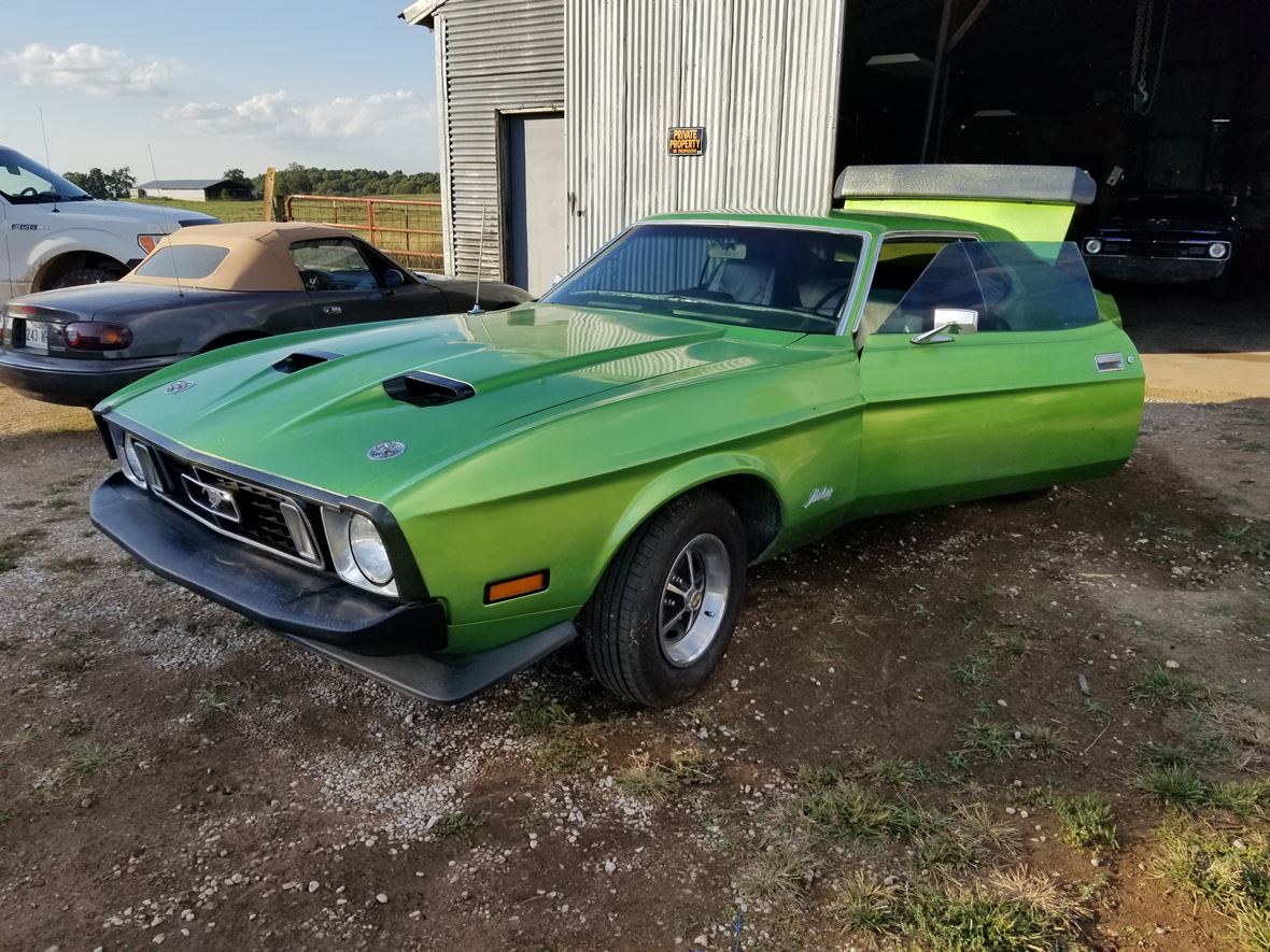 1973 Ford Mustang for sale by owner in Batesville