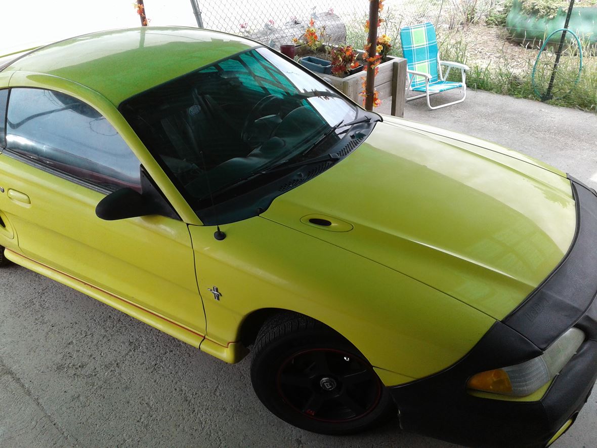 1995 Ford Mustang Classic Car Bozeman, MT 59718