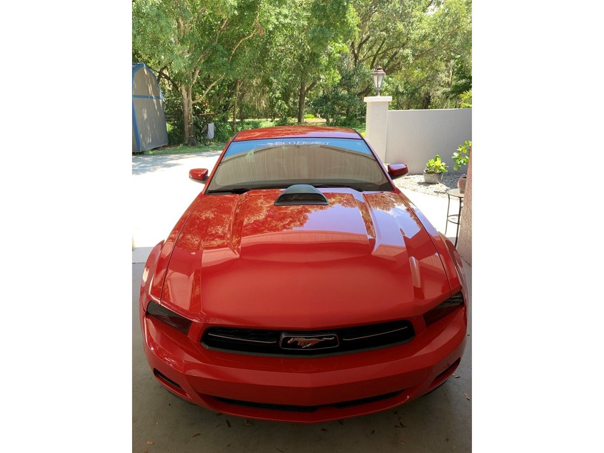 2010 Ford Mustang for sale by owner in Nokomis